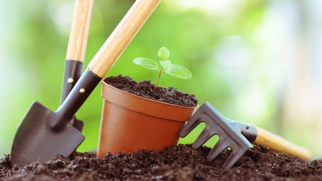 Planting seeds for success